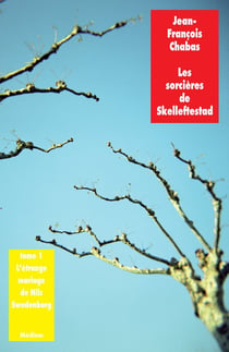Les sorcières de Skelleftestad, tome 1 - L'étrange mariage de Nils Swedenborg