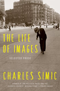 The Life of Images - Selected Prose