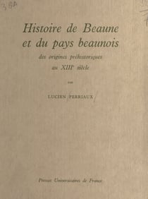 Histoire de Beaune et du pays beaunois - Des origines préhistoriques au XIIIe siècle