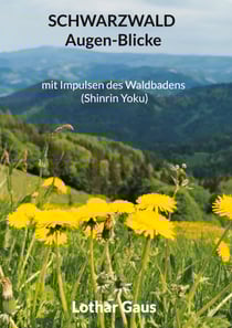 Schwarzwald Augen-Blicke - mit Impulsen des Waldbadens (Shinrin Yoku)
