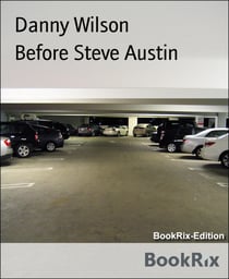Before Steve Austin
