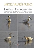 Calimas Blancas que trae el Viento de Poniente Atlántico