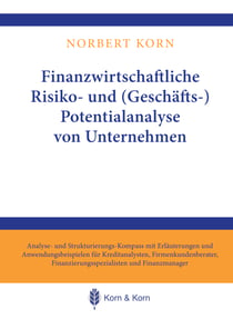 Finanzwirtschaftliche Risiko- und (Geschäfts-) Potentialanalyse von Unternehmen - Analyse- und Strukturierungs-Kompass mit Erläuterungen und Anwendungsbeispielen für Kreditanalysten, Firmenkundenberater, Finanzierungsspezialisten und Finanzmanager