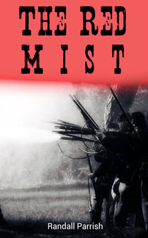 The Red Mist - Civil War Novel