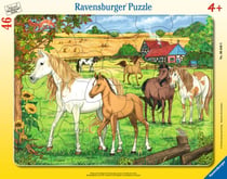 media/pim/30-48-p-chevaux-dans-l-enclos-4005556066469_0.JPG