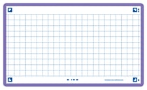80 flashcards - 7,5 x 12,5 cm - Flash 2.0 Oxford - Petits carreaux - cadre violet