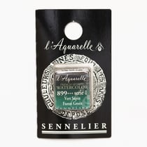 Peinture Aquarelle miel 1/2g - vert sapin