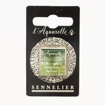 Peinture Aquarelle miel 1/2g - vert vessie