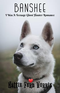 Banshee - I Was A Teenage Ghost Hunter Romance, #1