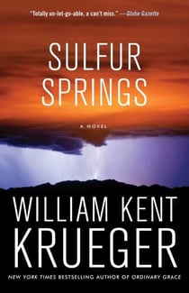 Sulfur Springs - A Novel