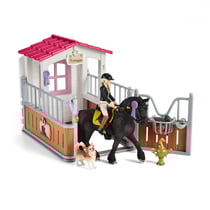 Box pour chevaux Tori et princesse
