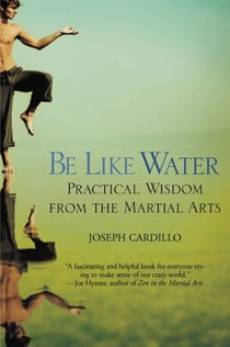Be Like Water - Practical Wisdom from the Martial Arts