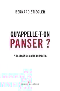 Qu'appelle-t-on Panser ? T2 - La leçon de Greta Thunberg