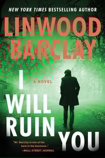 I Will Ruin You - A Novel