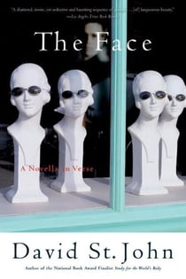 The Face - A Novella in Verse