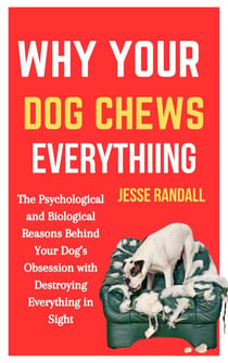 Why Your Dog Chews Everything: The Psychological and Biological Reasons Behind Your Dog’s Obsession With Destroying Everything in Sight