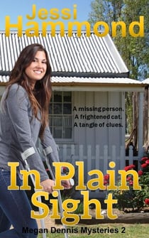 In Plain Sight - Megan Dennis Mysteries, #2