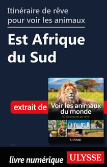 Itinéraire de rêve pour voir les animaux - Est Afrique du Sud