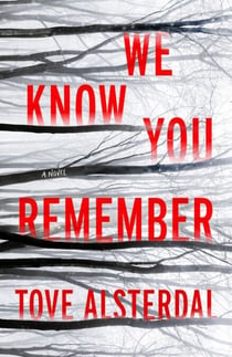 We Know You Remember - A Novel