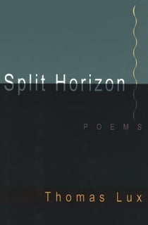 Split Horizon