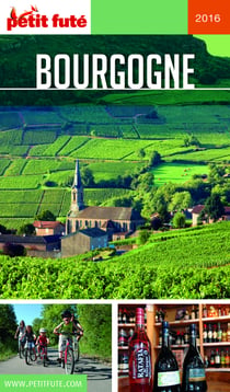 BOURGOGNE 2016/2017 Petit Futé