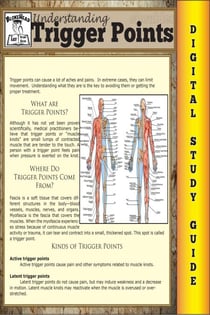 Trigger Points (Blokehead Easy Study Guide) - The Blokehead Success Series