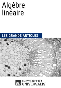 Algèbre linéaire - Les Grands Articles d'Universalis