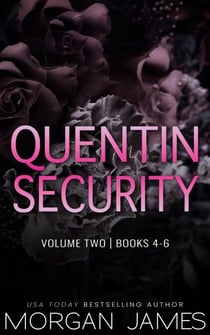 Quentin Security Series Box Set 2 - Quentin Security Series, #9