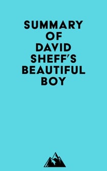 Summary of David Sheff's Beautiful Boy