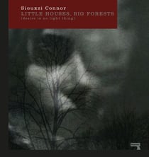 Little Houses, Big Forests - Desire Is No Light Thing