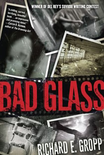Bad Glass - A Novel