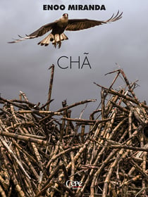 Chã - V Prêmio Fundarpe de Literatura