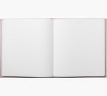 Livre d'or Exacompta - Nude - 21 x 29 cm - Skandi - 140 pages tranche or