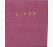 Livre d'or Exacompta - Vieux rose - 21 x 29 cm - Skandi - 140 pages tranche or