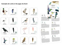 Le mémo des oiseaux