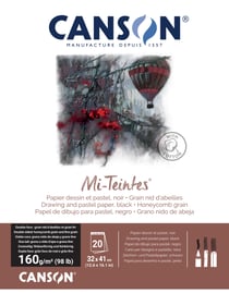 Bloc papier dessin BL 20FL MI-TEINTES® 32 x 41 160 g - Noir