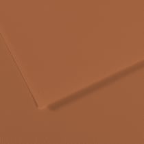 Feuille MI-TEINTES® Canson - 50 x 65 cm - 160g/m² - Cannelle