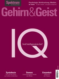 Gehirn&amp;Geist 7/2021 IQ - Sind Intelligenztests fair?
