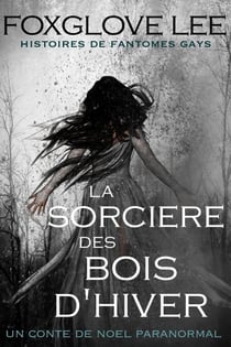 La sorcière des bois d'hiver - Histoires de fantômes gays, #1