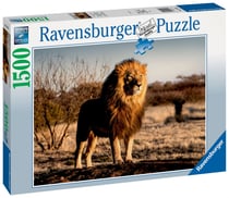 Puzzle 1500 pièces - Lion