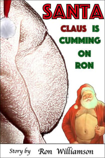 Santa - Adventures of a Chubby Chaser, #12