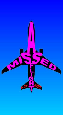 A Missed Flight