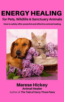 Energy Healing for Pets, Wildlife and Sanctuary Animals - How to Safely Offer Powerful & Effective Animal Healing