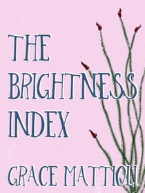 The Brightness Index