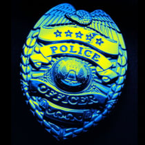 The Cop - Book 2 of THREE DAYS IN CHICAGOLAND