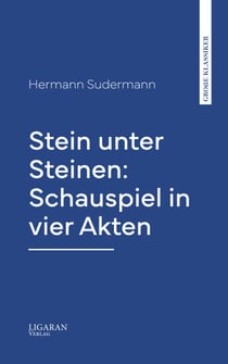 Stein unter Steinen: Schauspiel in vier Akten