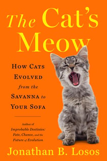 The Cat's Meow - How Cats Evolved from the Savanna to Your Sofa