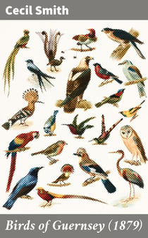Birds of Guernsey (1879) - And the Neighbouring Islands: Alderney, Sark, Jethou, Herm; Being a Small Contribution to the Ornitholony of the Channel Islands