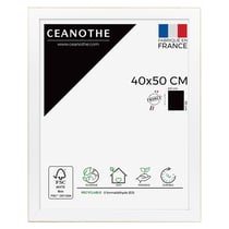 Cadre 40 x 50 Newton Bois       
