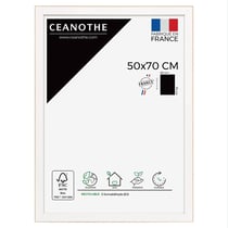 Cadre 50 x 70 Newton Bois       